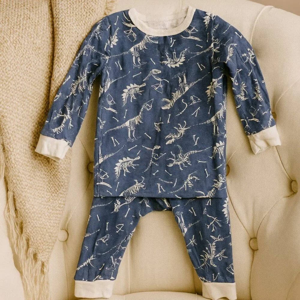 Dinosaur Fossil Baby Pajama Set – 2-Piece Cotton Sleepwear 18M